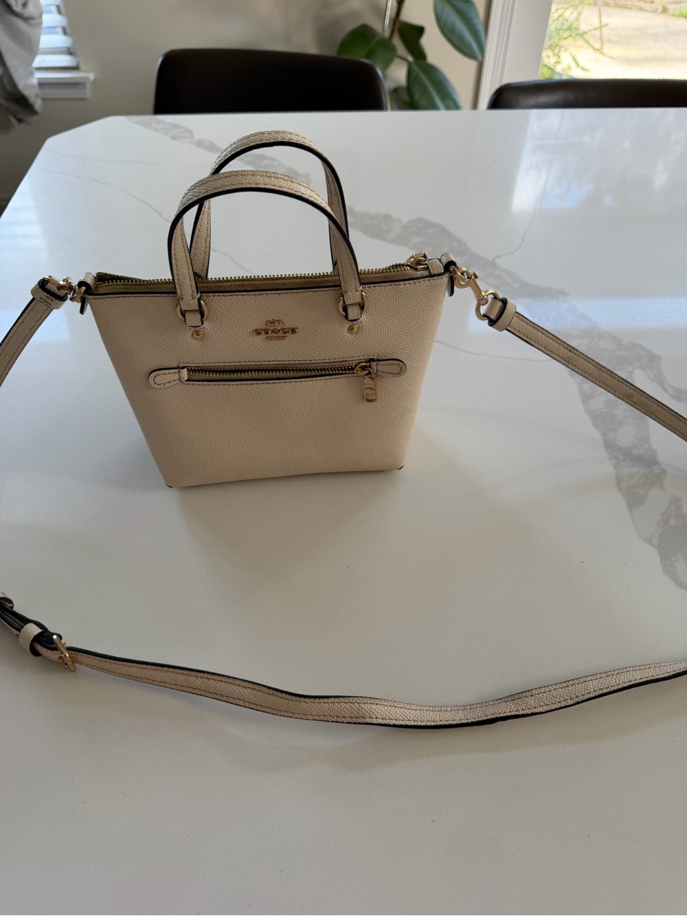 Coach Mini Gallery Crossbody